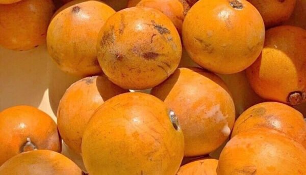 Agbalumo (Udara) – 10 Pcs / 20 Pcs