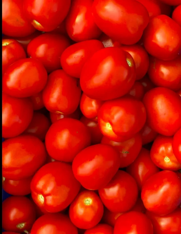 Roma Tomatoes – Fresh Premium Quality (Bag/Box) - Image 3