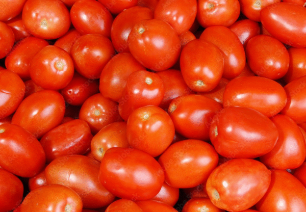 Roma Tomatoes – Fresh Premium Quality (Bag/Box)